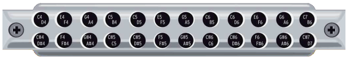 Seydel Symphony 48, 12-Hole, 48-Note Pro Chromatic Harmonica, Key of C,  Orchestra Tuning